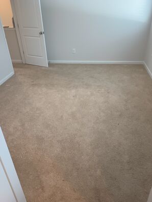 Before & After Carpet Cleaning in Nashville, TN (1)