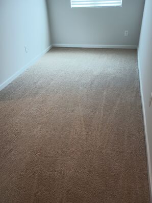 Before & After Carpet Cleaning in Nashville, TN (3)